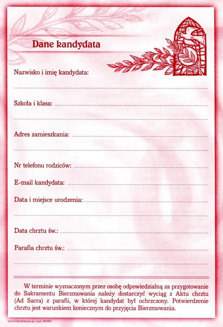 Rola pełnomocnika wyborczego