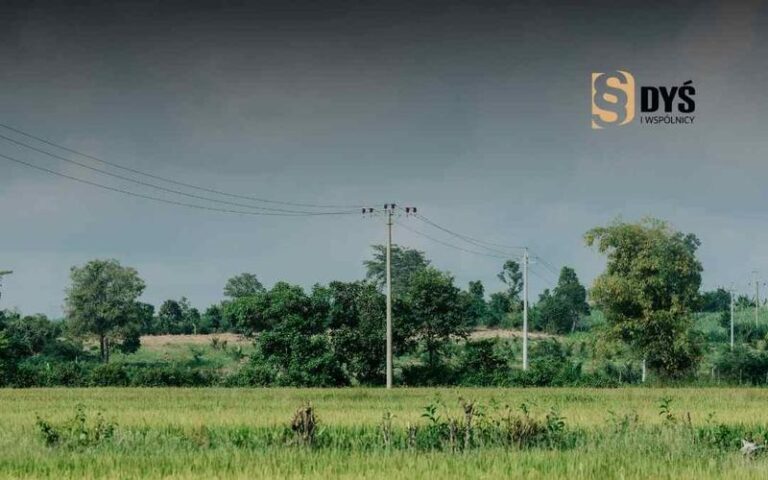 Jak skutecznie zgłosić wybór formy opodatkowania w 2026 roku?